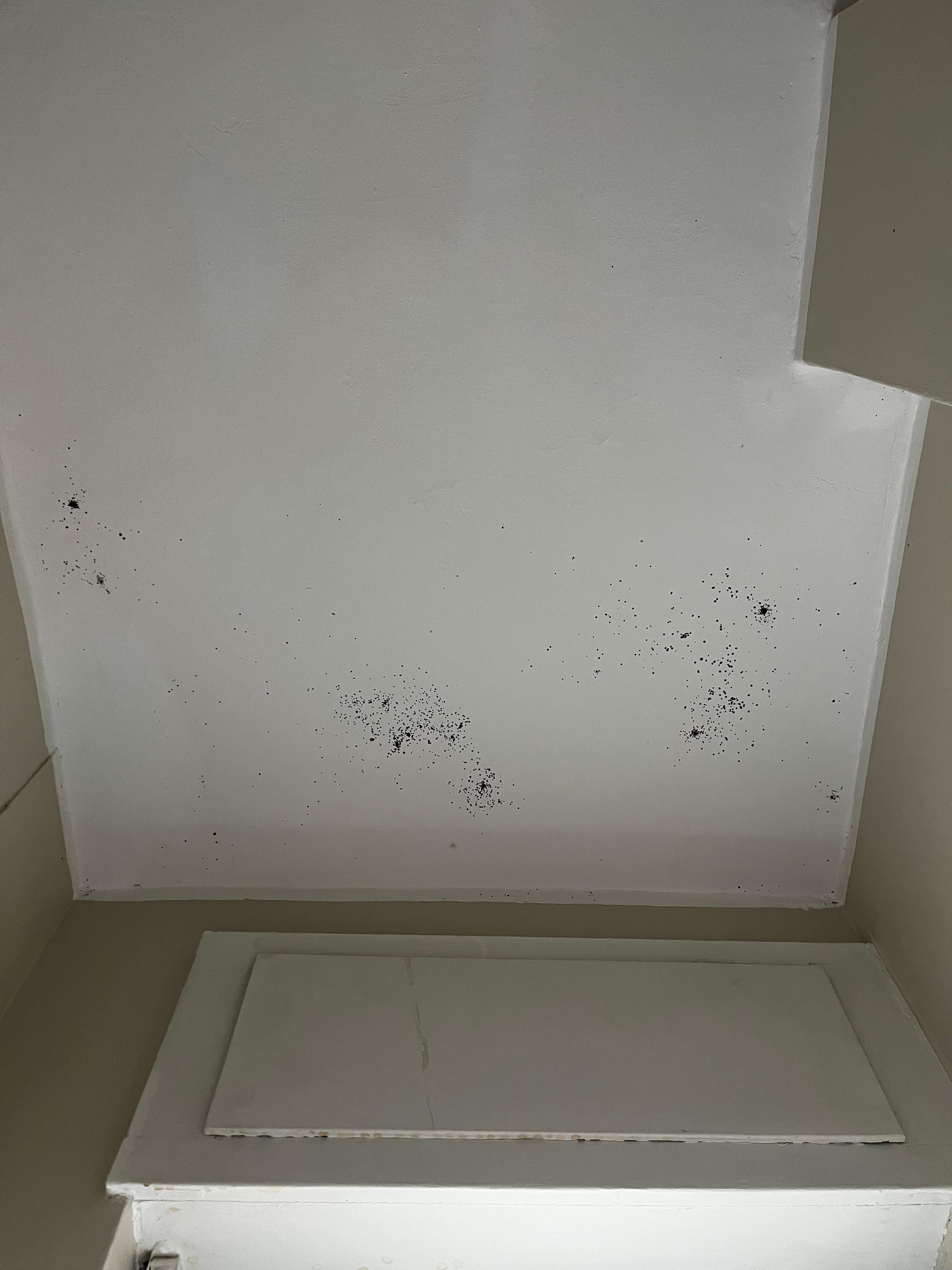 Plafond de la salle de bain