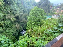 View from restaurant