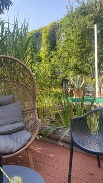 the garden
