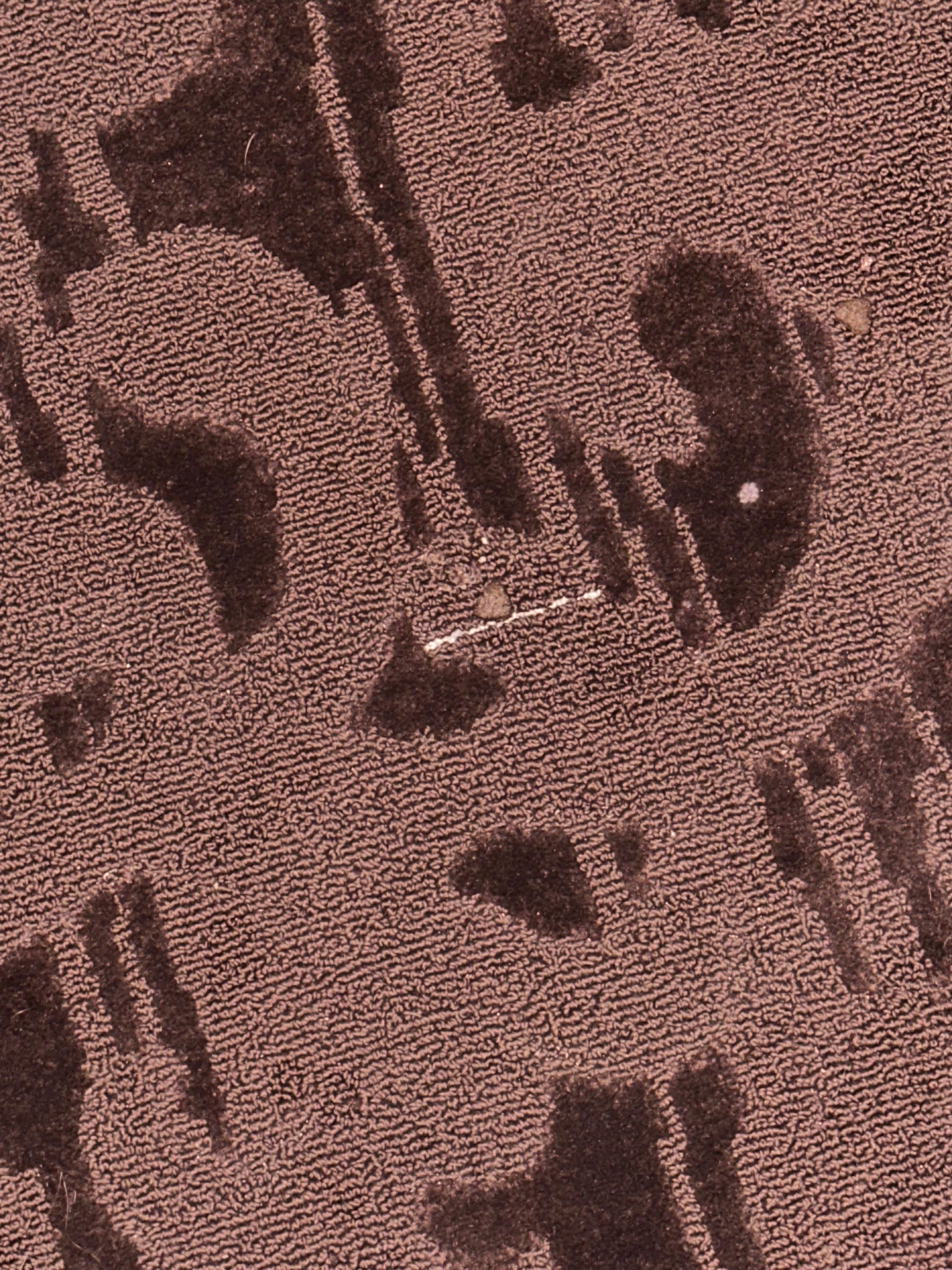 Dog food on the floor 