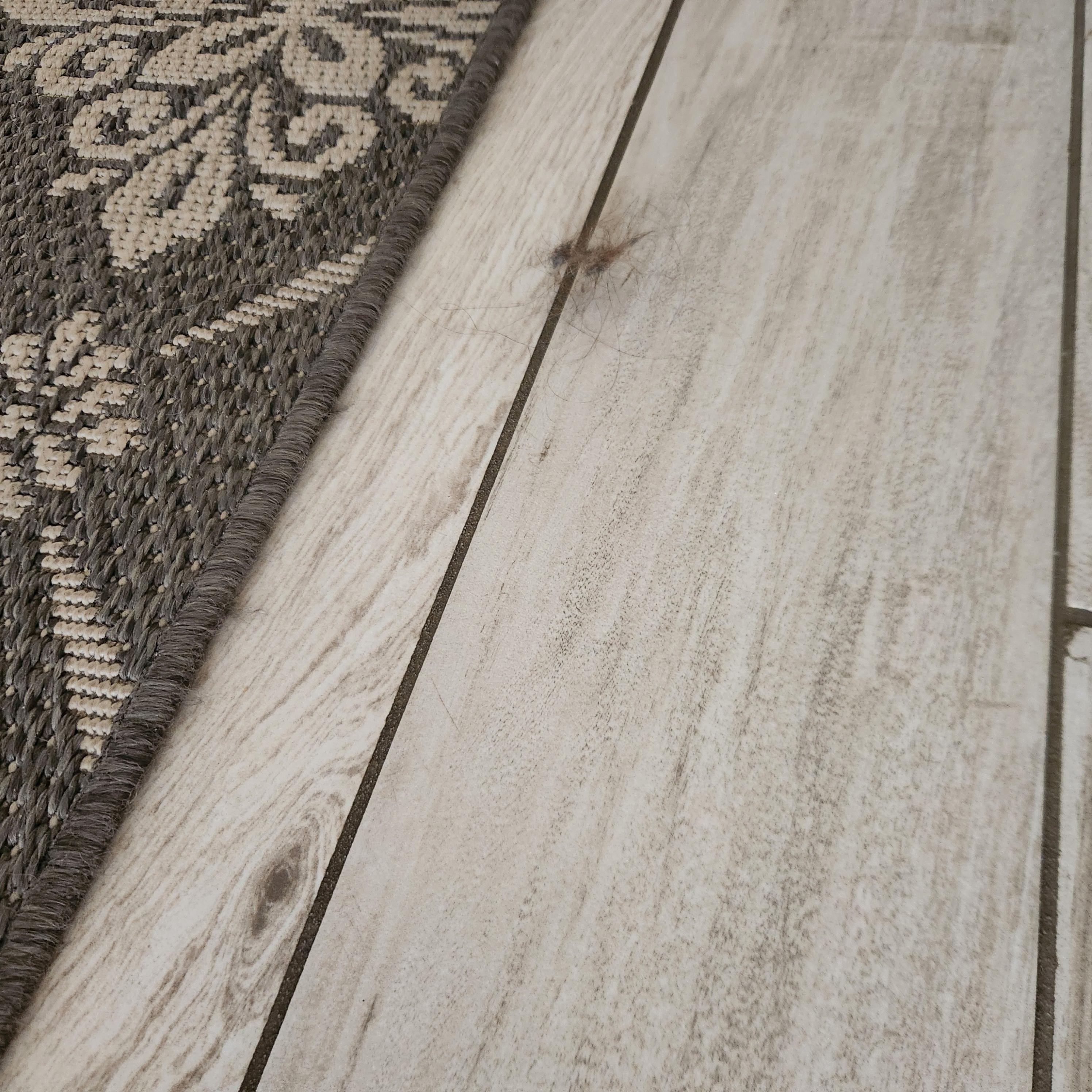 ball of hair on bathroom floor