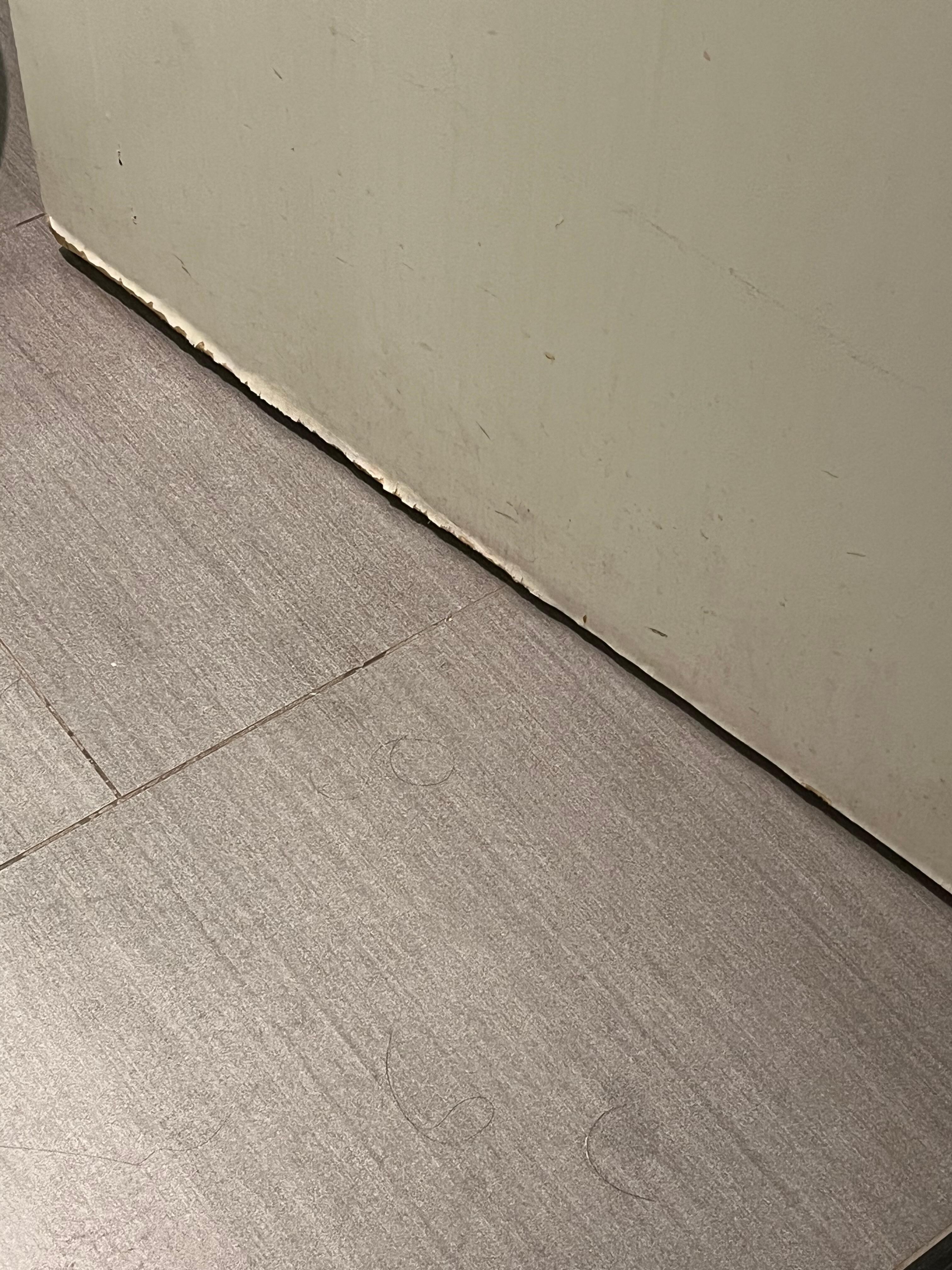 Bathroom door