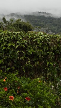 This is the view of the mountains from our casita patio.