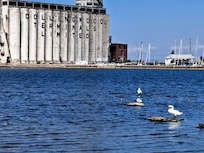 Collingwood Harbour - accessible by bike on trails.