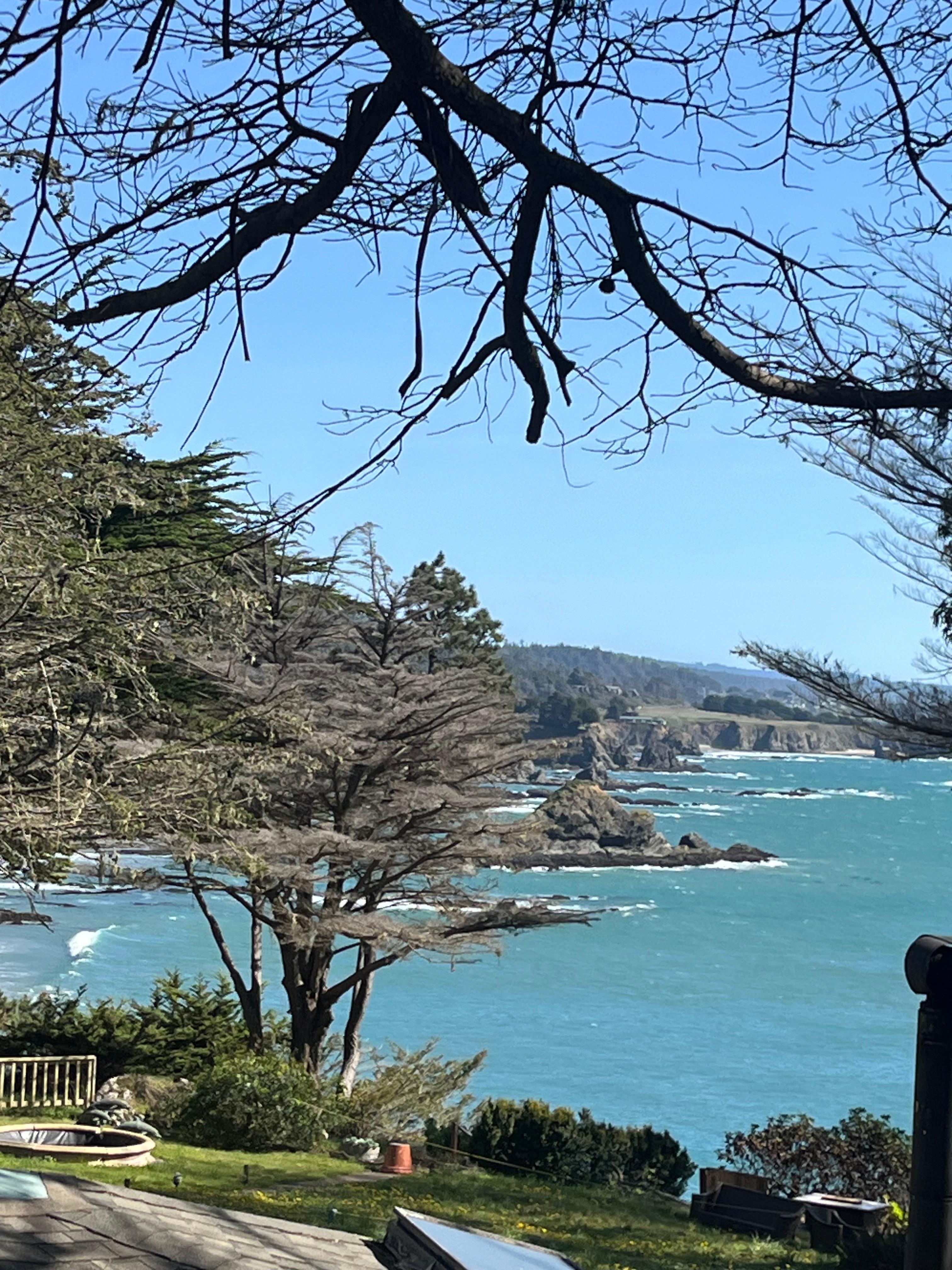 Looking out from the deck. 