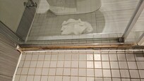 Mold