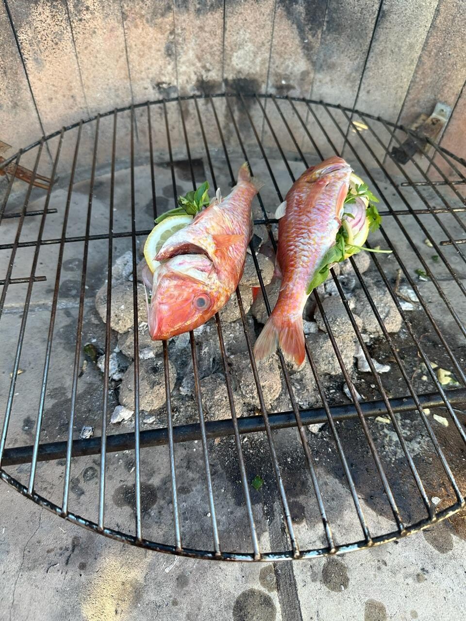 BBQ Fish on the outside grill