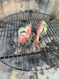 BBQ Fish on the outside grill