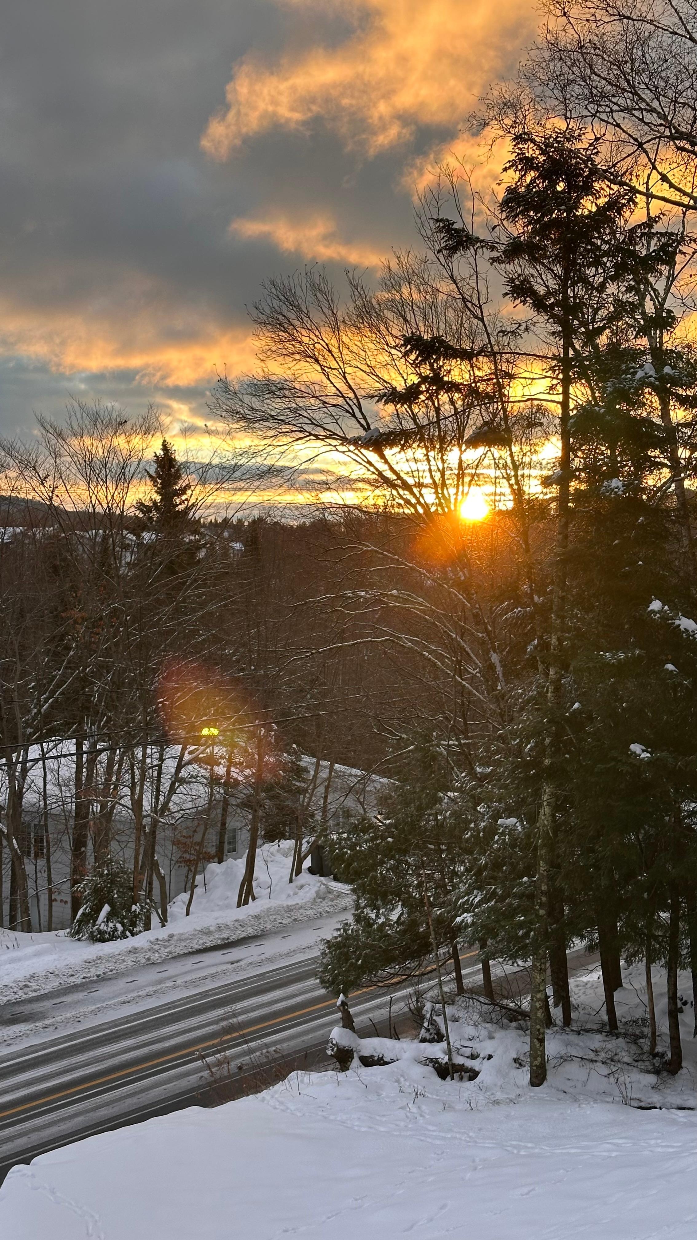 Sunrise view from living room 