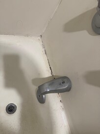 Mold in bathroom