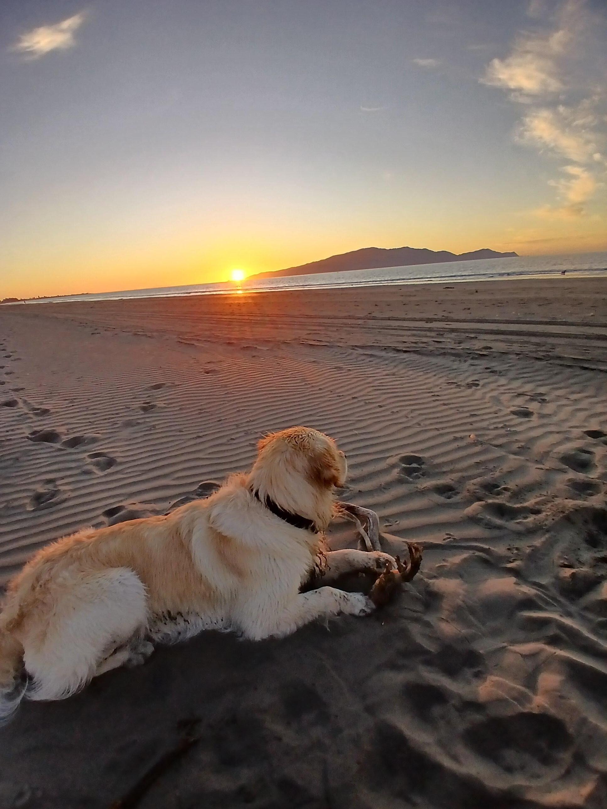 The best sunset ive ever seen