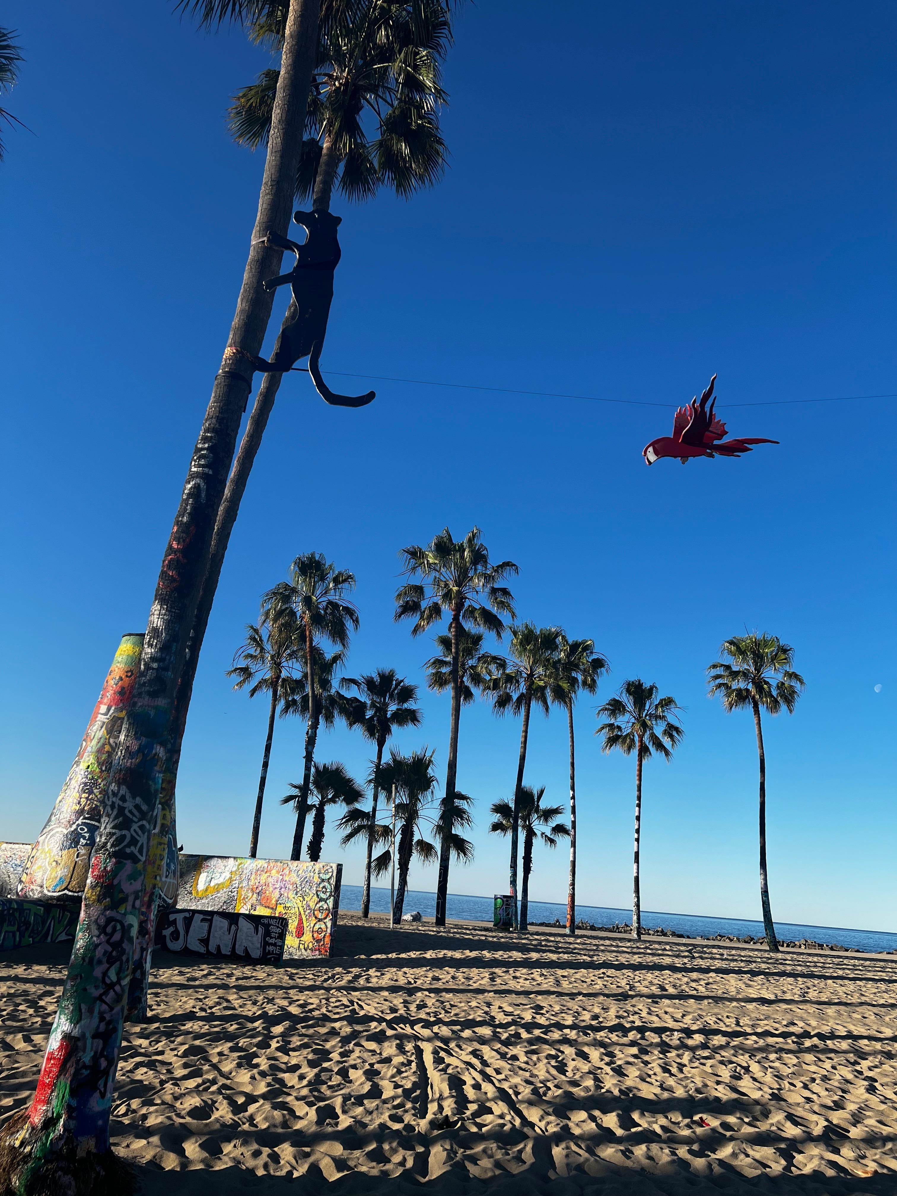Venice Beach 