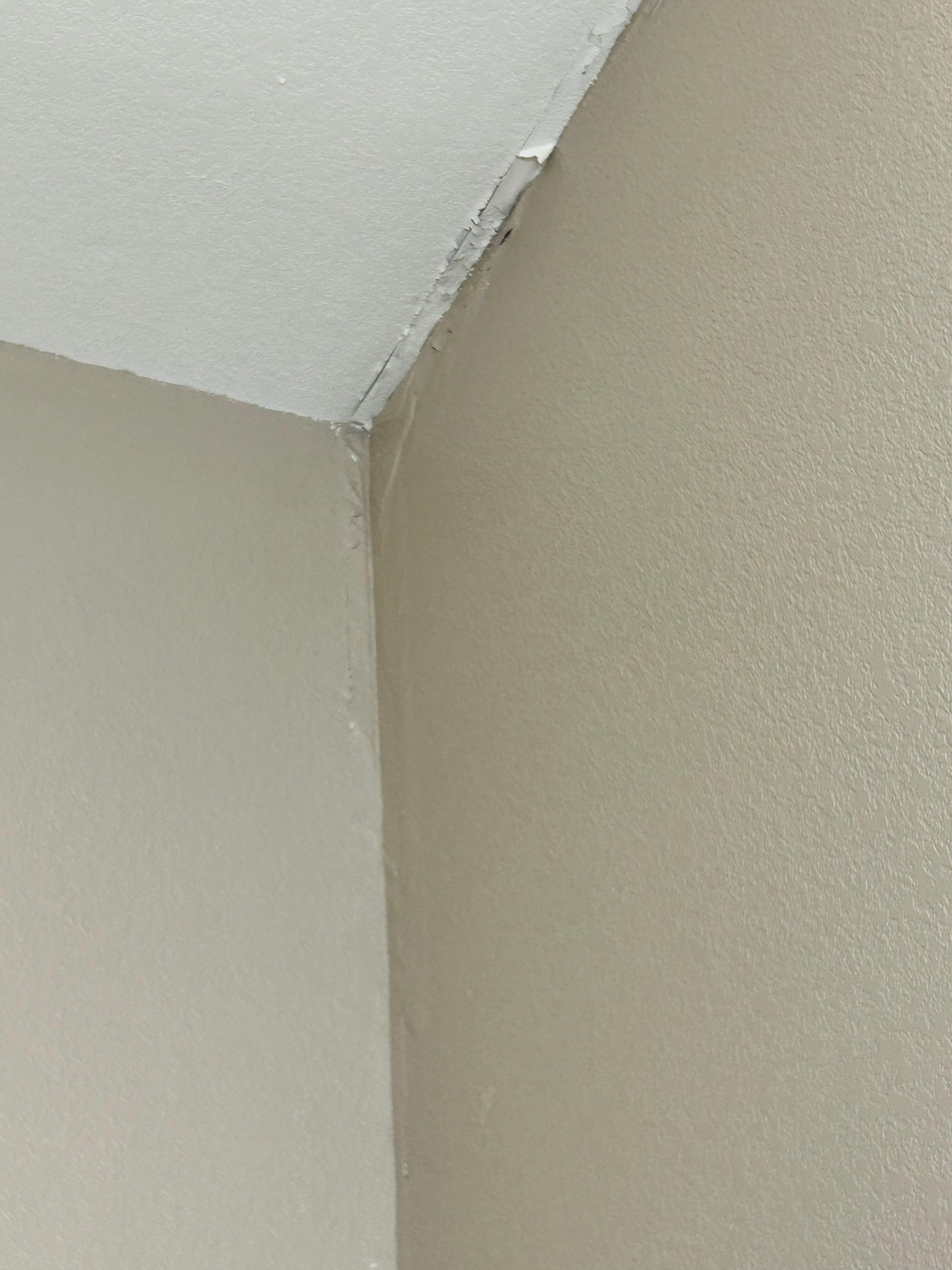 Bathroom ceiling