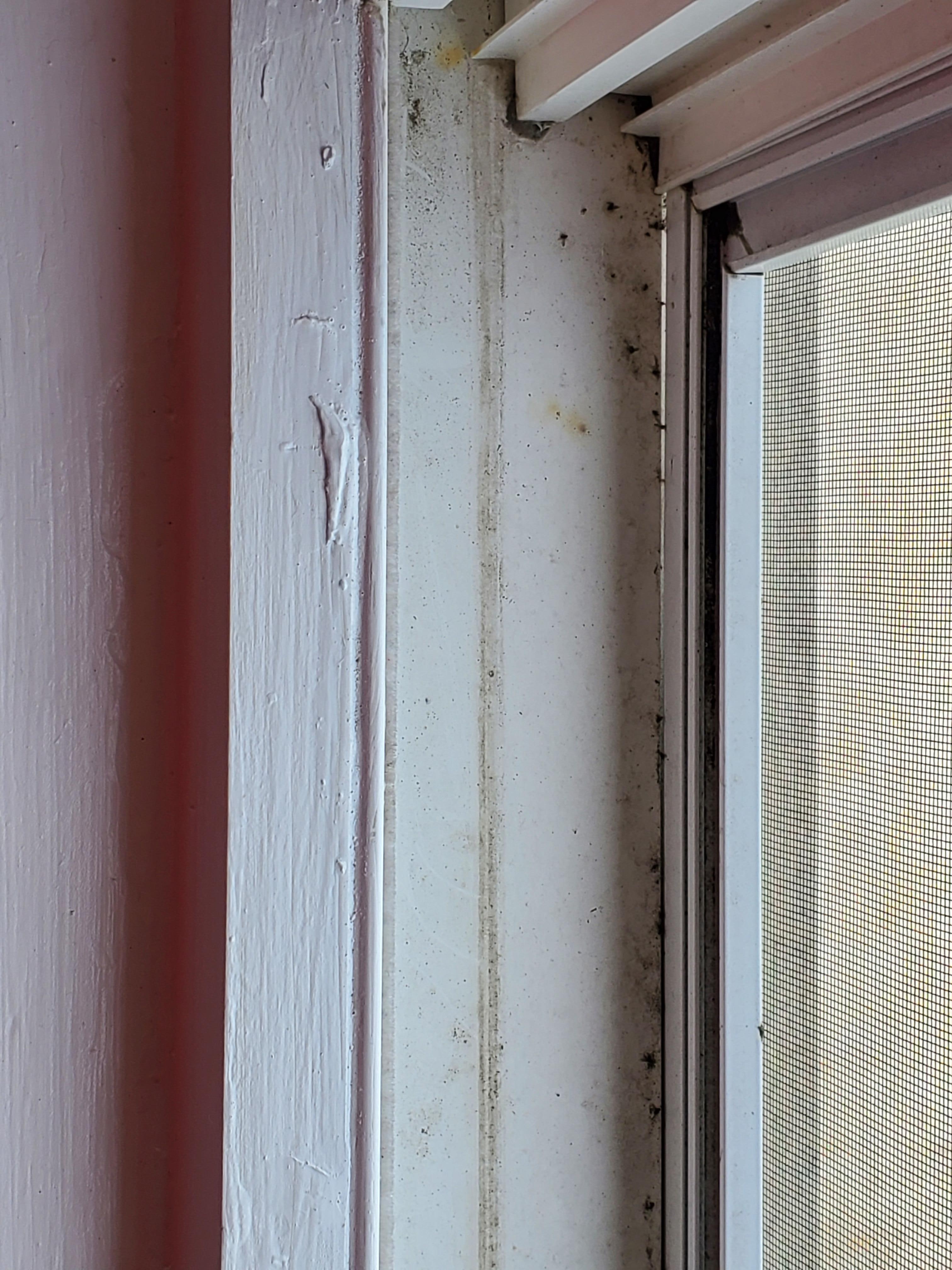 Window frames need work