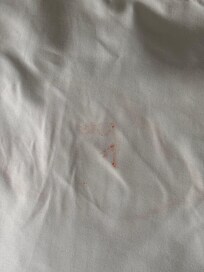 Pillowcase on bunk bed