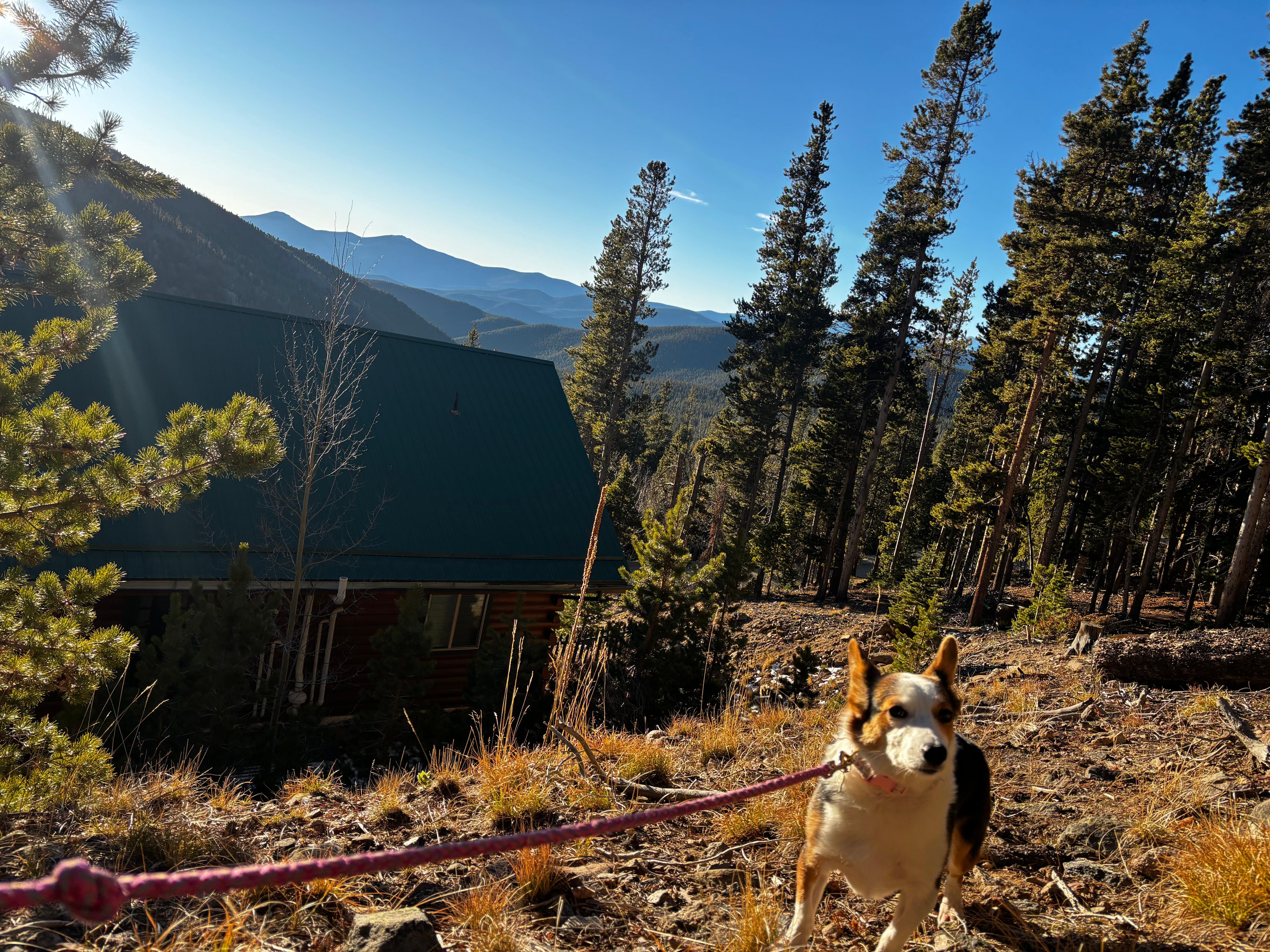 Walking the property behind the house 