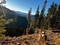 Walking the property behind the house