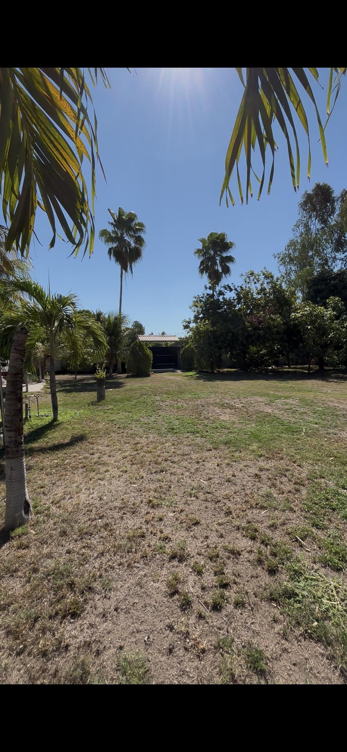 Property space and main entrance very secured 