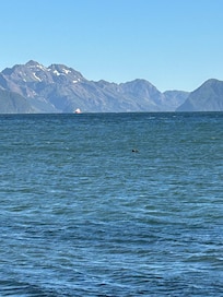 View of the bay