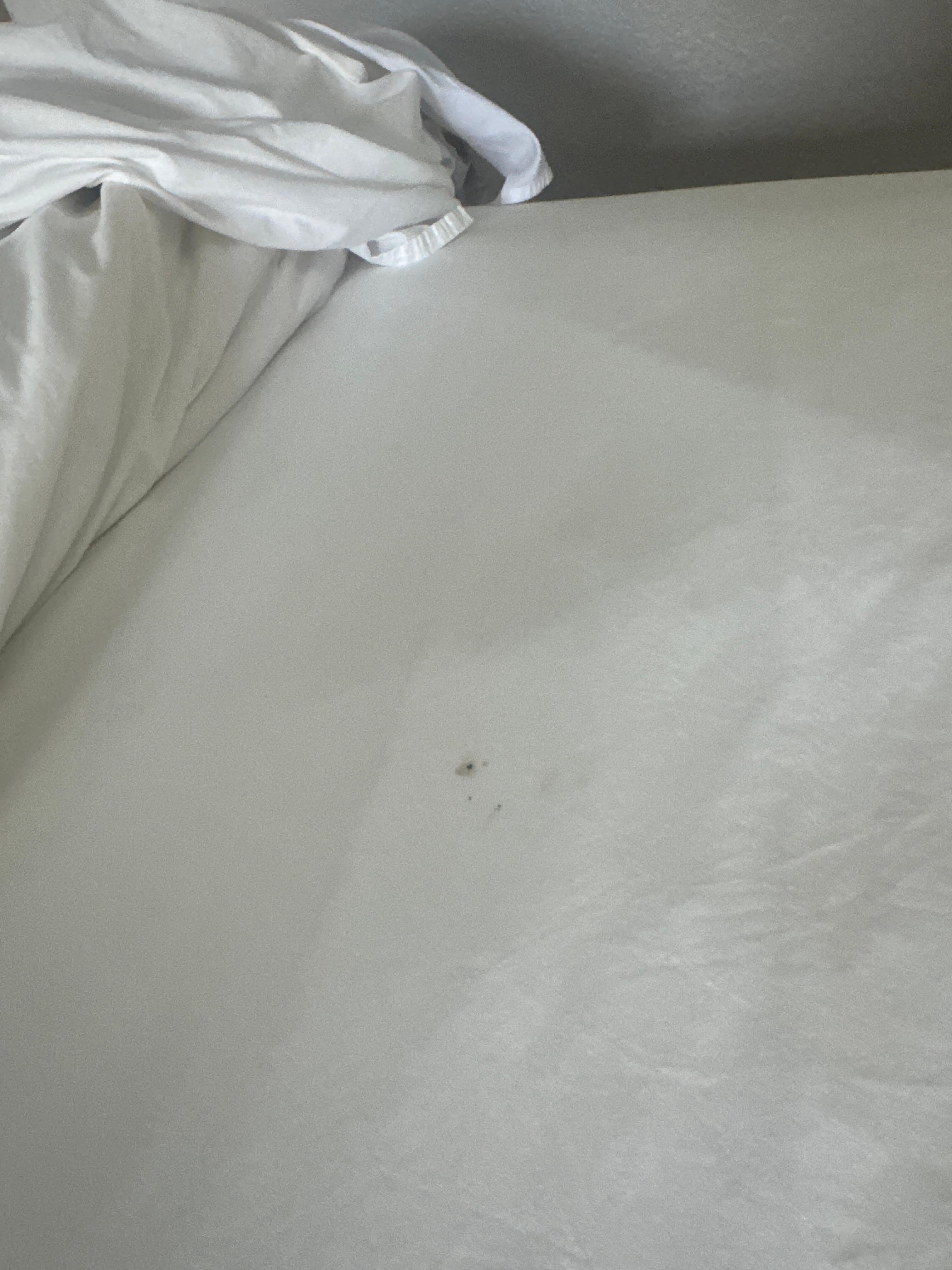 Spot on sheets