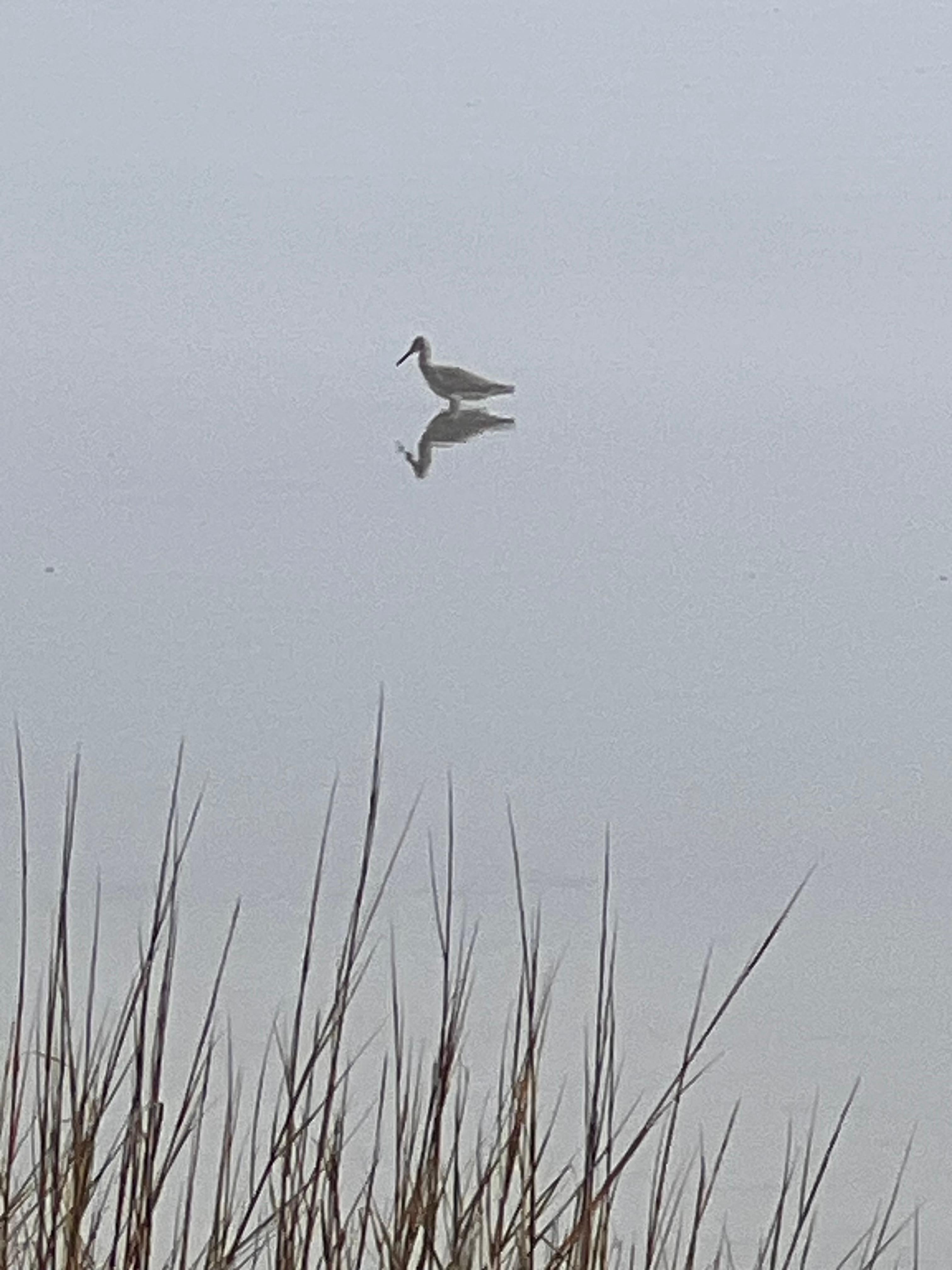 Along the bay a short walk away