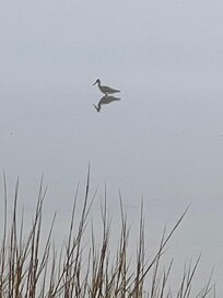 Along the bay a short walk away