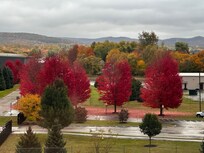 View outside on 4 th floor