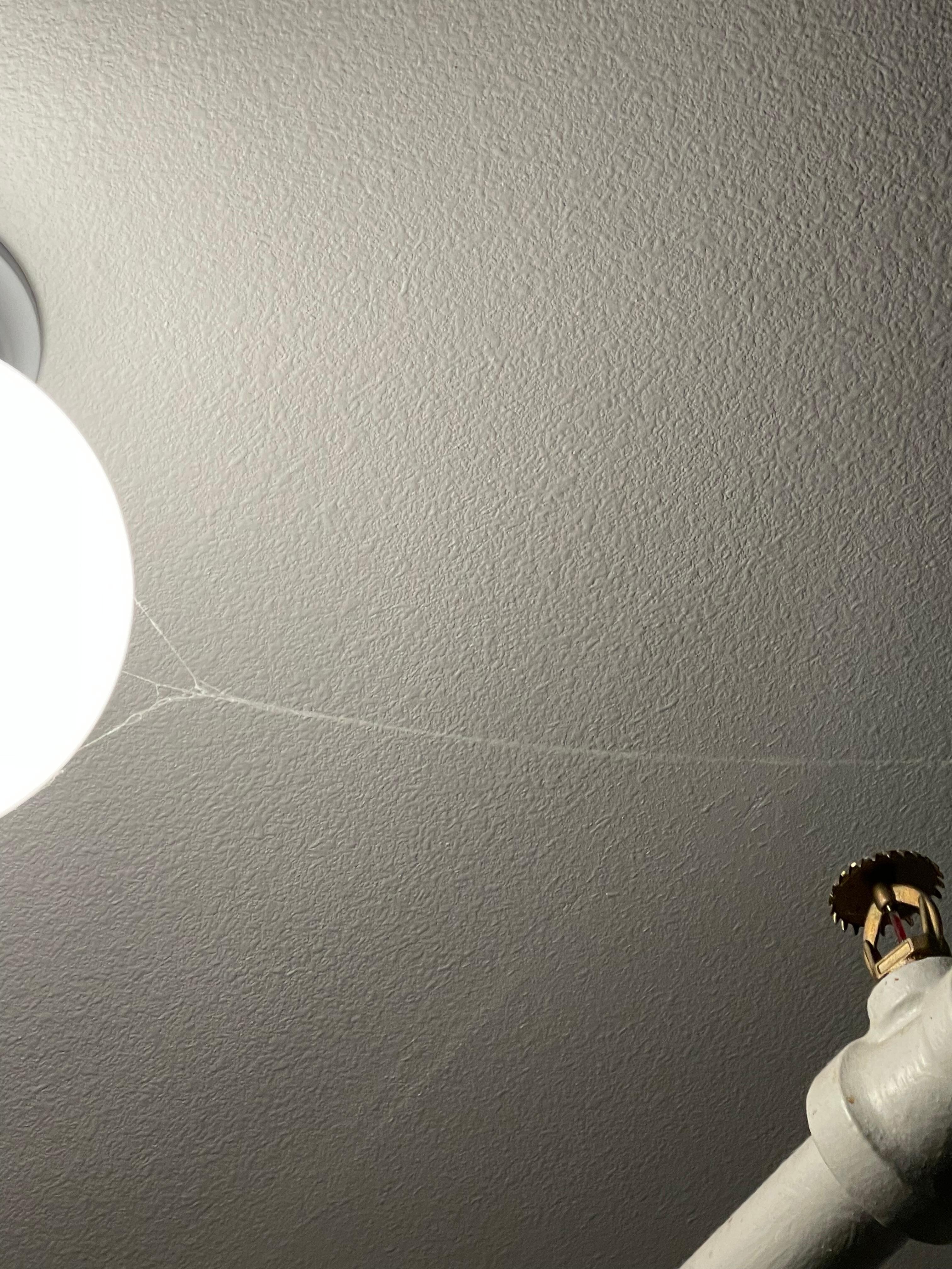 Cobwebs in bedroom