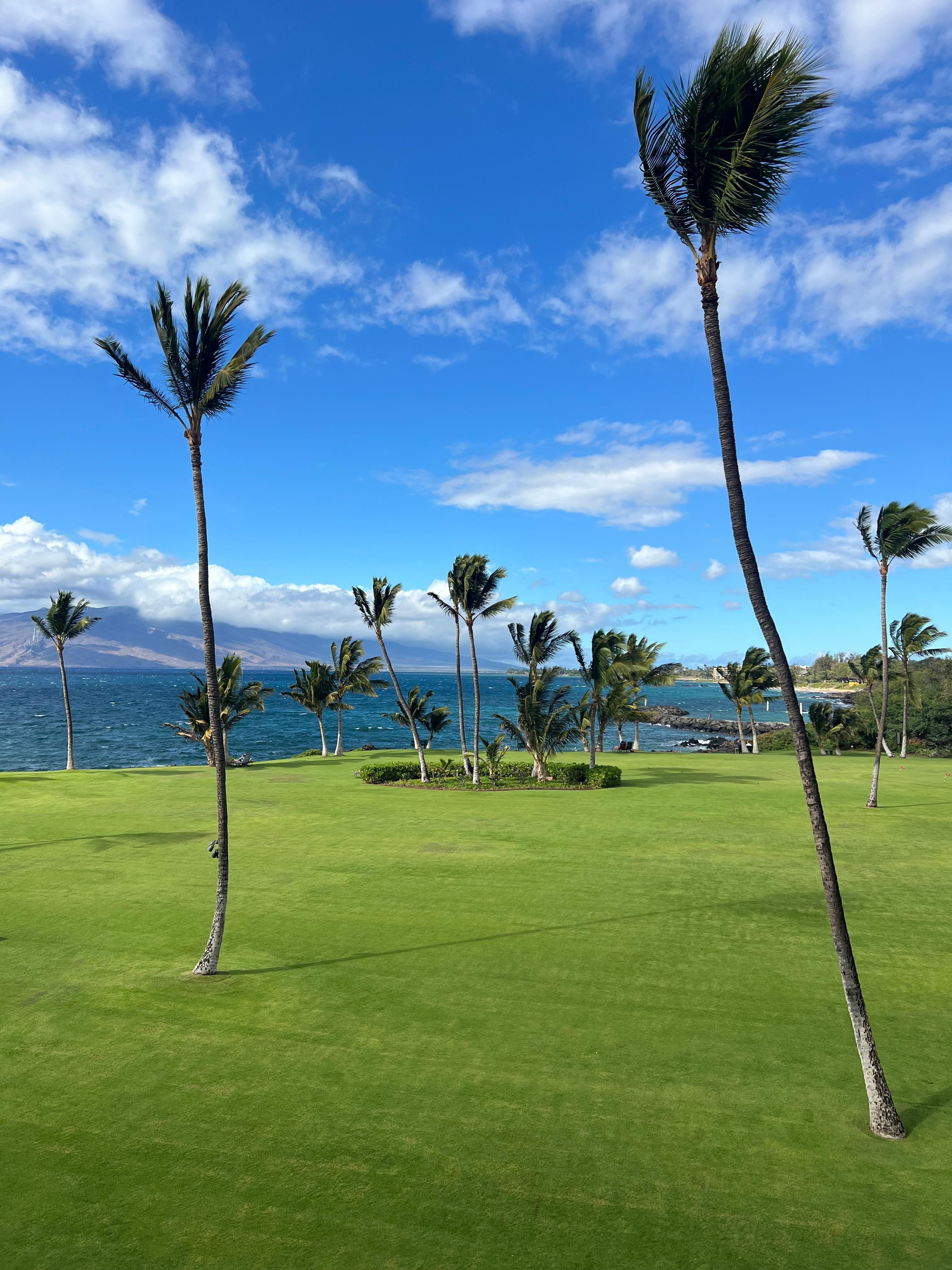 View from lanai