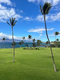 View from lanai