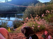 View from back deck sitting area.