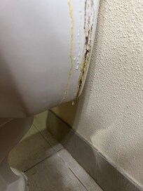 Water on floor. Mold on the side of the toilet
