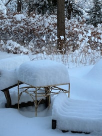 Opps ,this at home made the beach BETTER !!