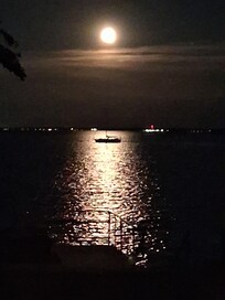 Chesapeake Bay