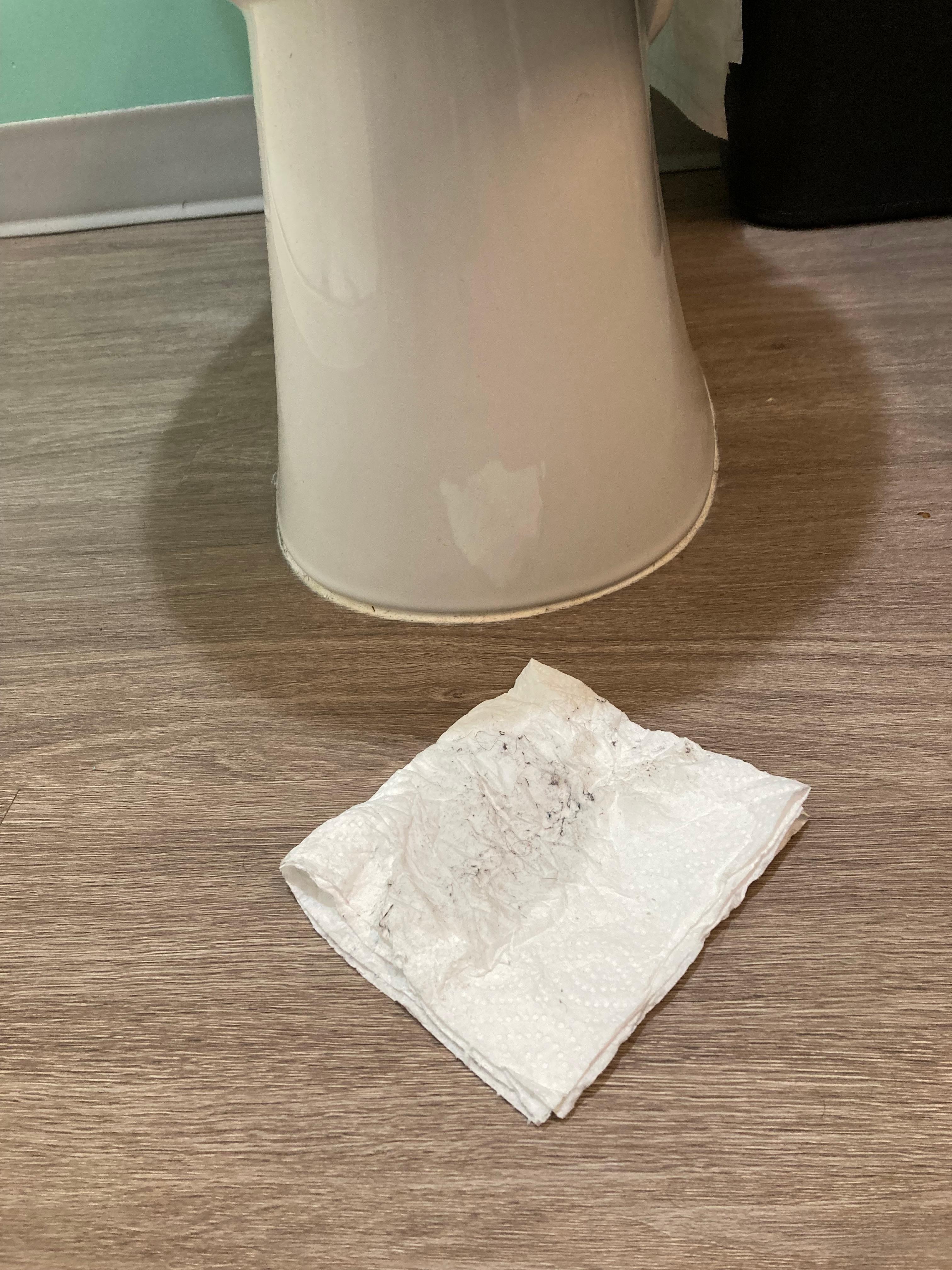 This paper towel shows the crud I wiped off the toilet.