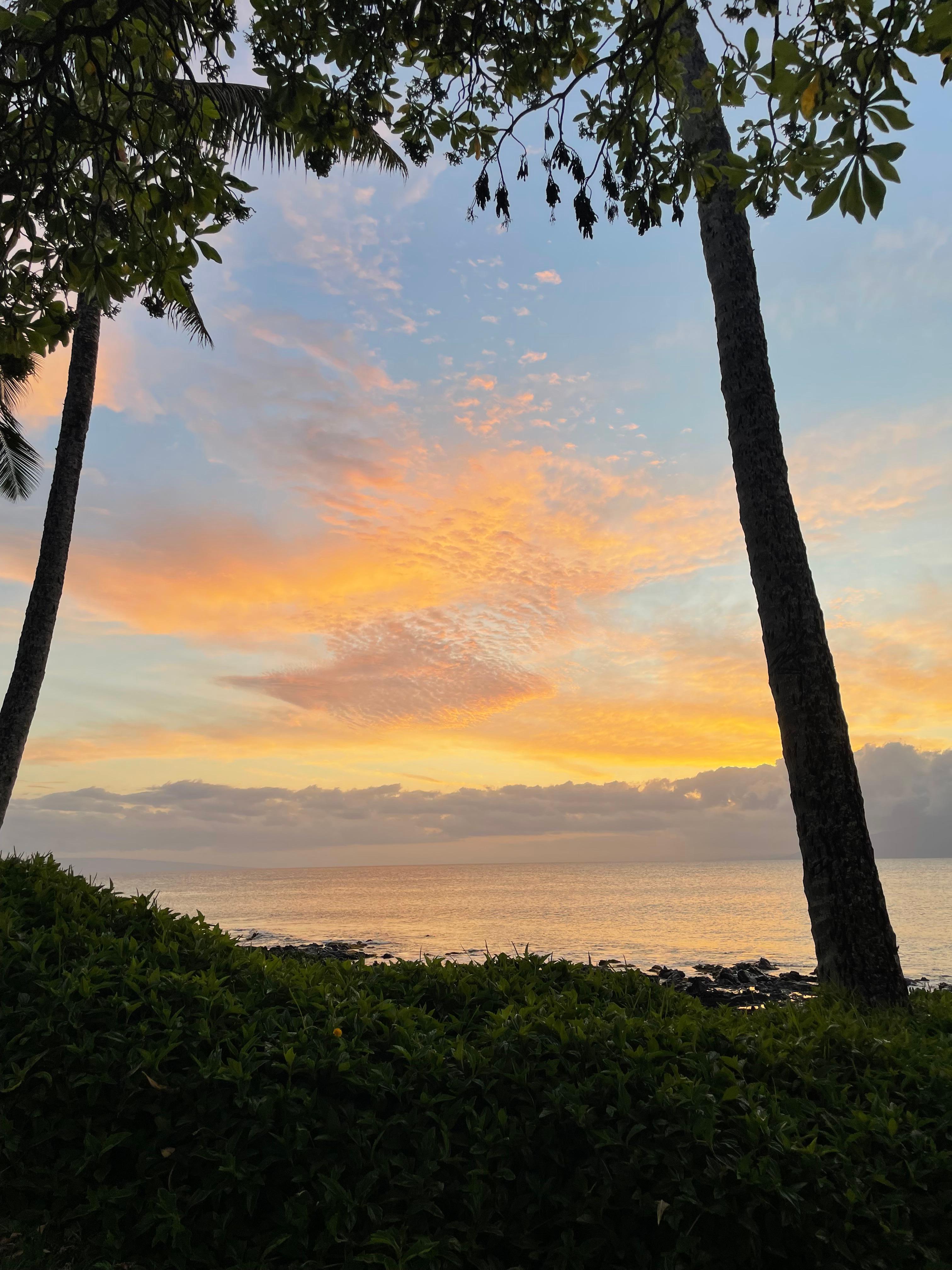 Awesome sunsets