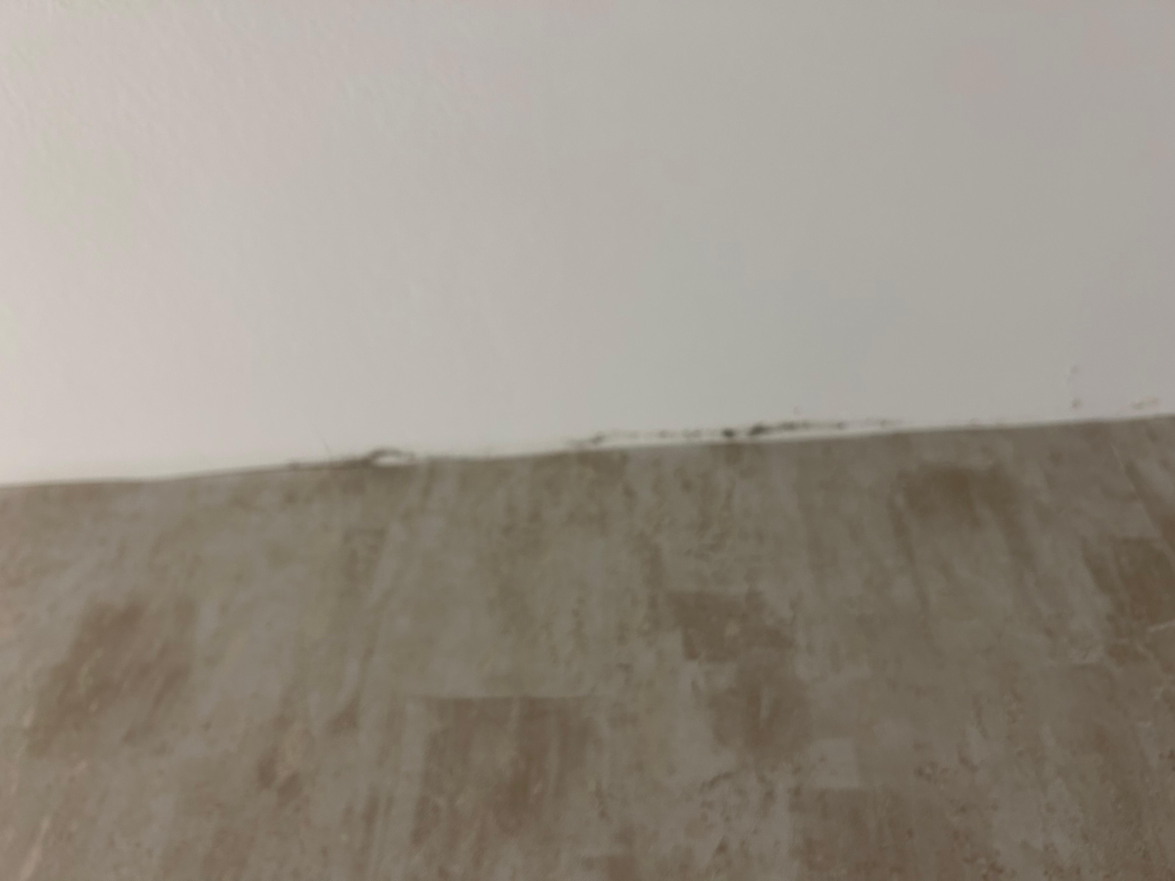 Damp showing in room