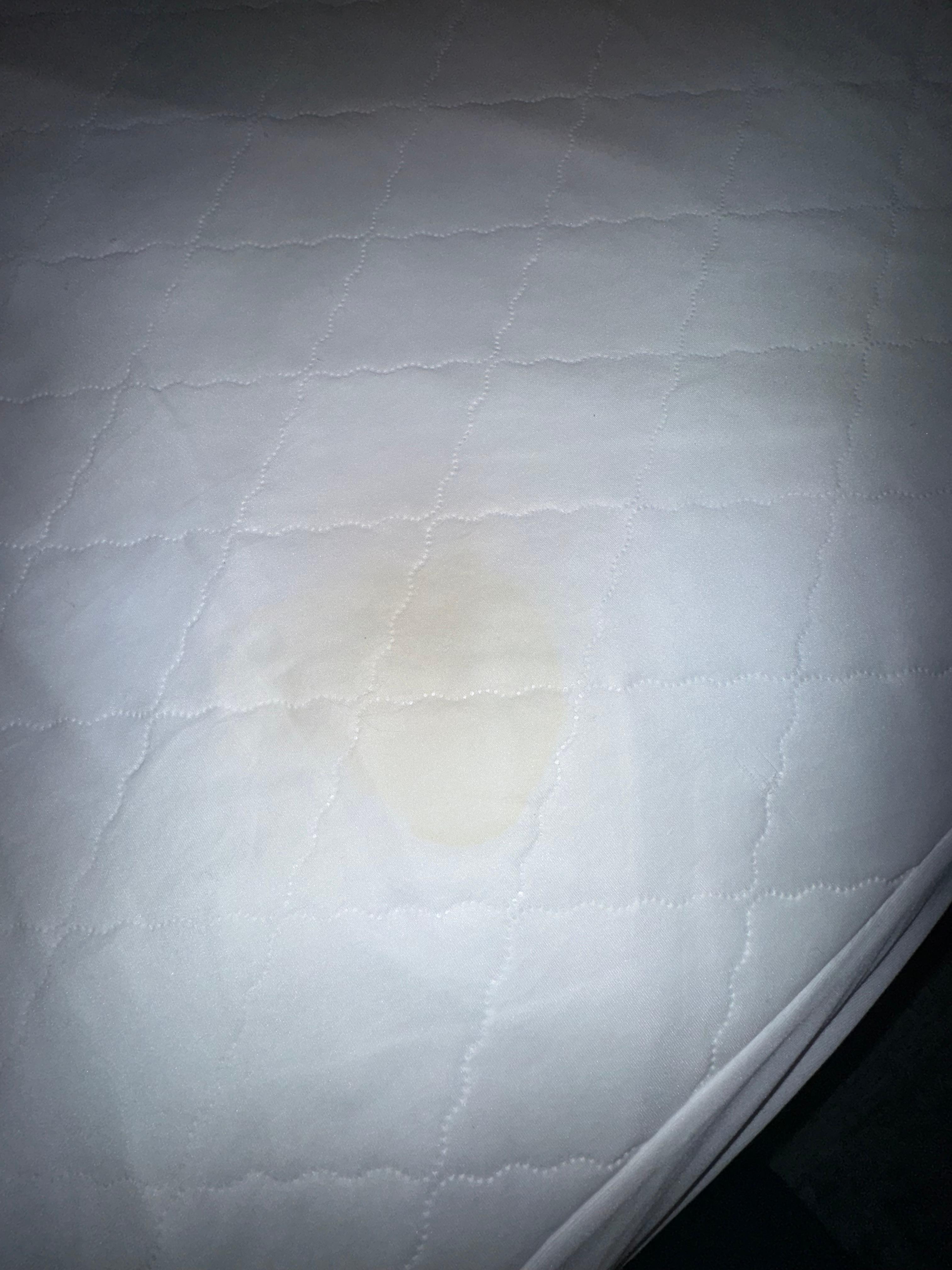 Body fluid stains on pullout 