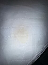 Body fluid stains on pullout