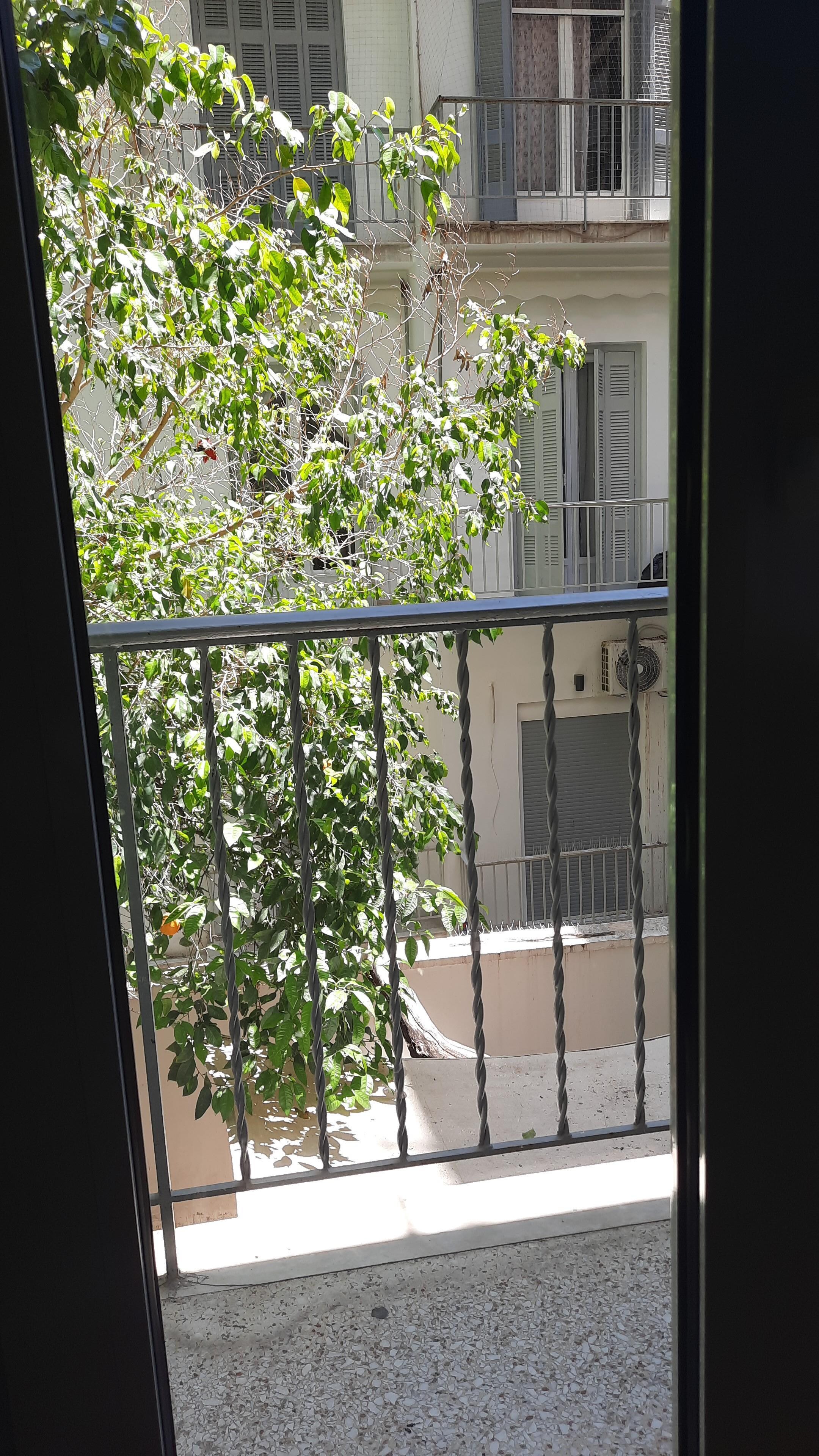 From the bedroom window
