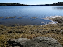 Sitting on the rocks watching the tide go out.