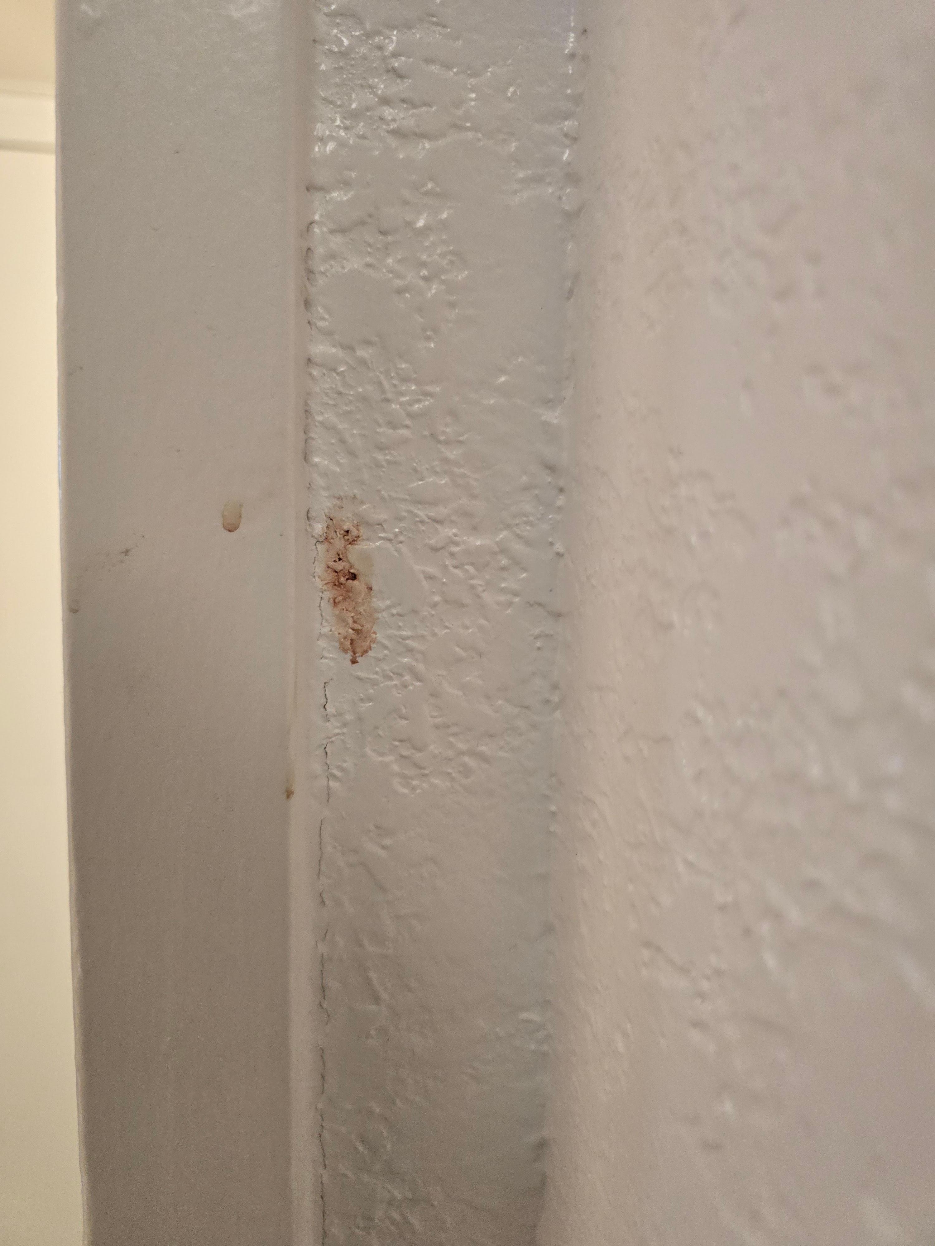 Blood on the wall in the bathroom. 