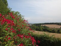 View from prioerty