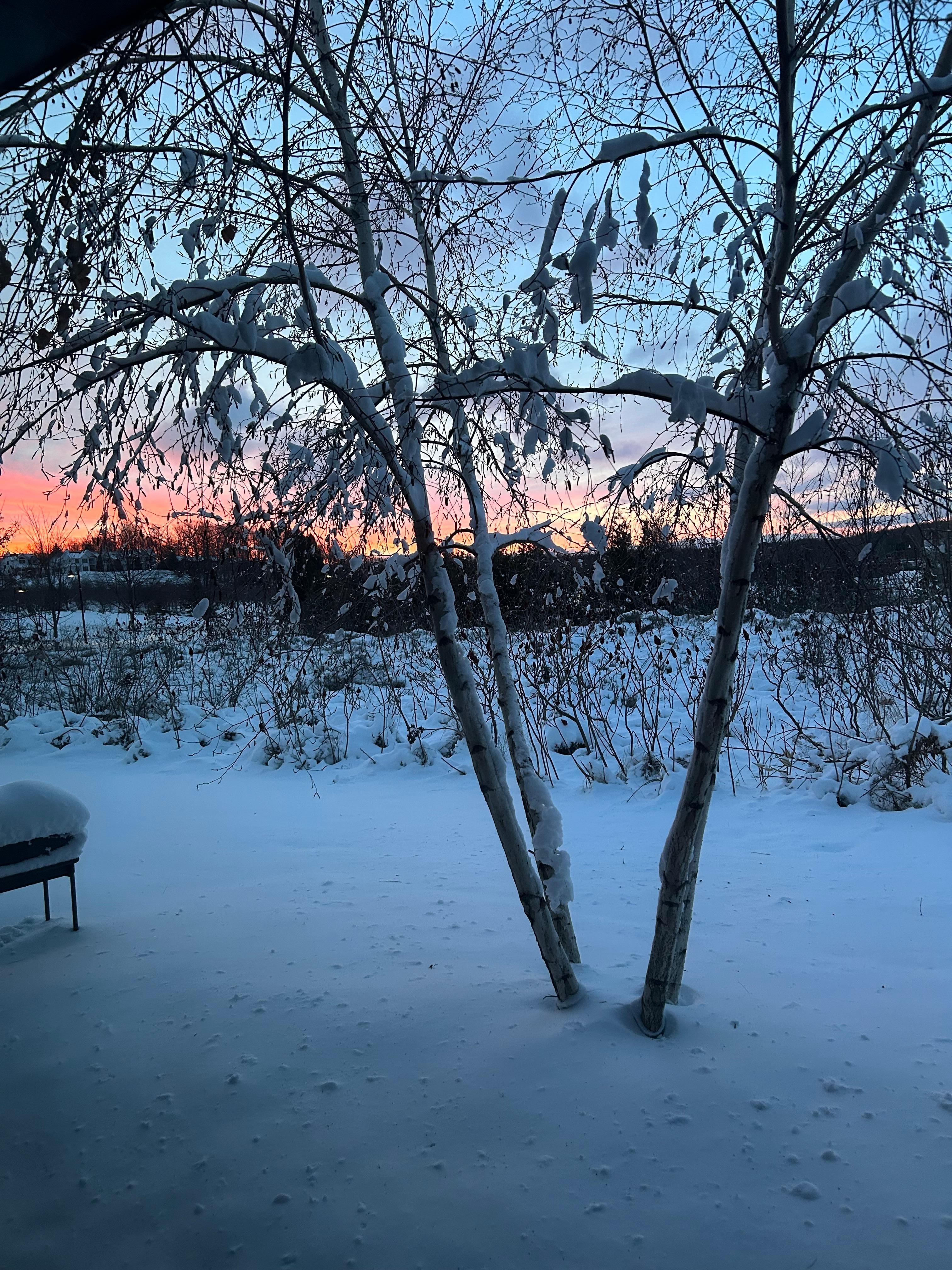 A beautiful sunrise outside our window!