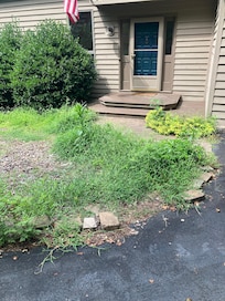 Weeds all through front entrance