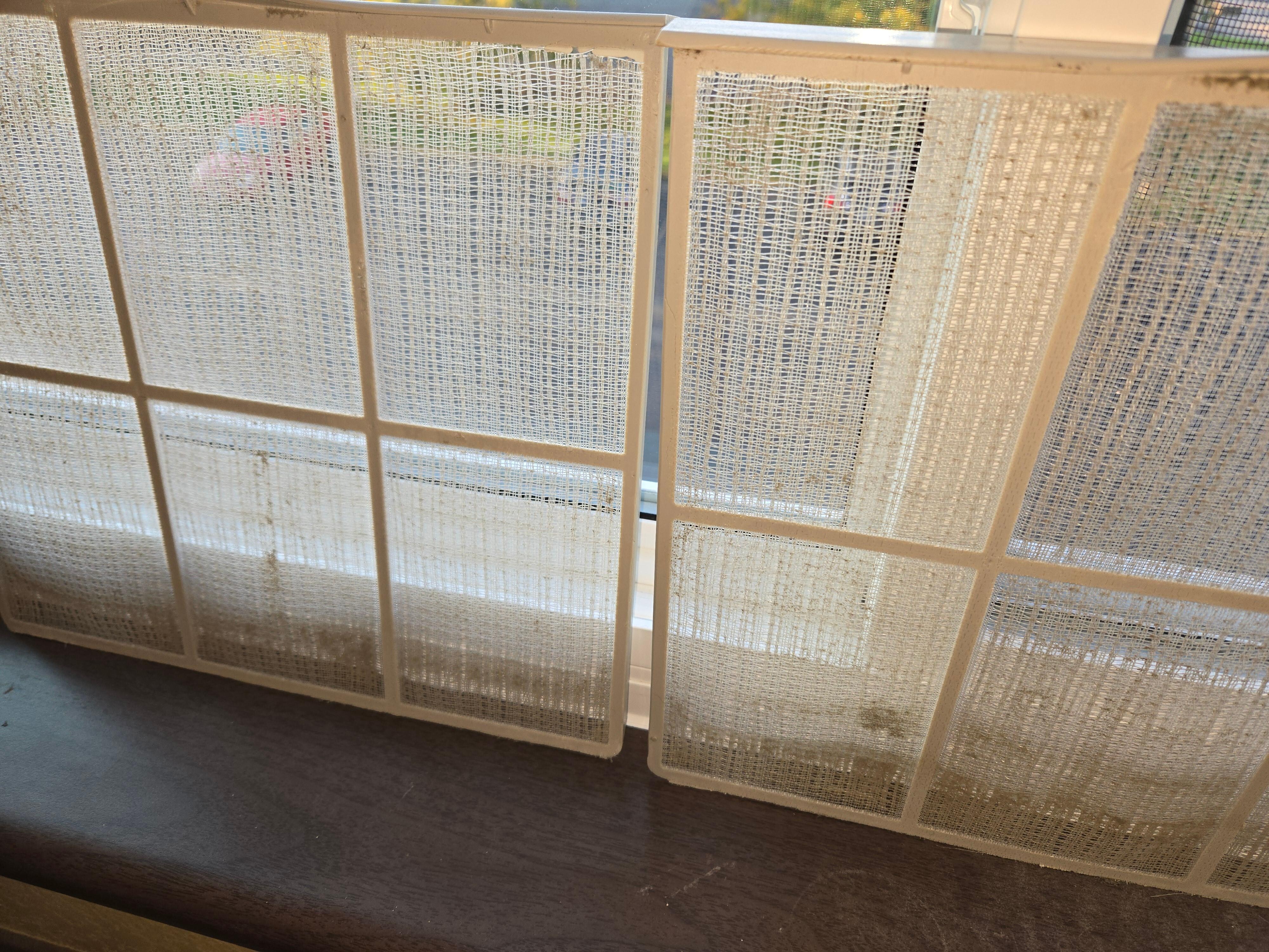 Cleaned these but not the AC