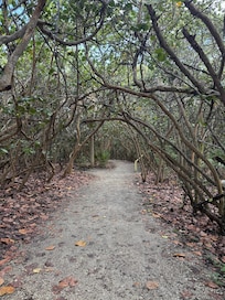 Pathway to Blowing Rocks