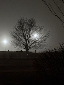 View from pet area outside at night