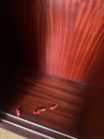 Débris de ballon dans la chambre , manquement de nettoyage