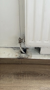 Mouldy baseboards